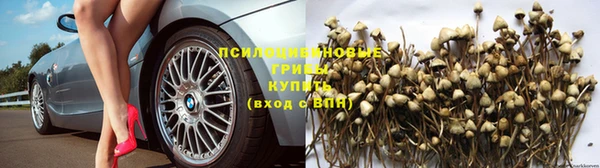скорость mdpv Липки