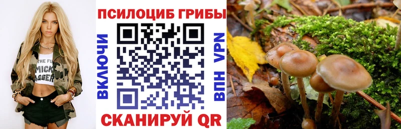 Галлюциногенные грибы прущие грибы  магазин  наркотиков  Цивильск 