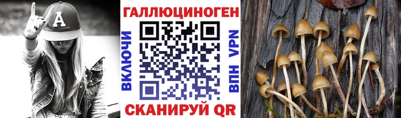 Галлюциногенные грибы Cubensis Цивильск